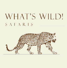 Whats Wild Safaris